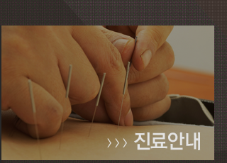 진료안내
