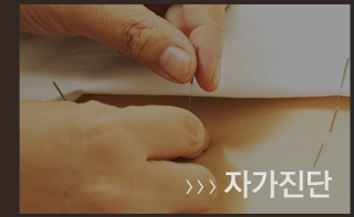 자가진단